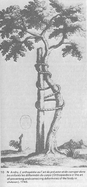 Foucault tree